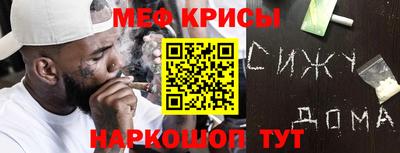 PSILOCYBIN Гатчина