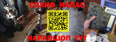 PSILOCYBIN Гатчина
