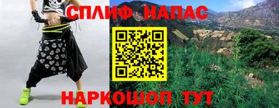 ешки Гай