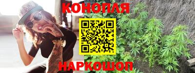 ешки Гай