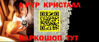 PSILOCYBIN Гатчина