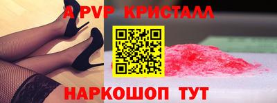 ешки Гай